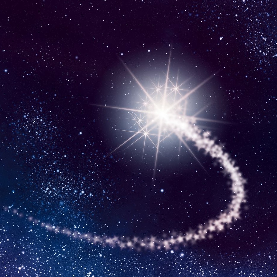 Photo de Mathilde DUBREU-BARBIEUX