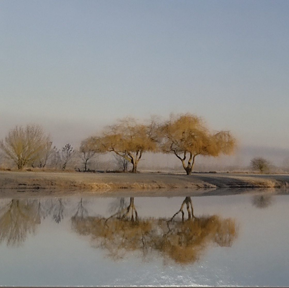 Photo de Jean-Jacques GUYON