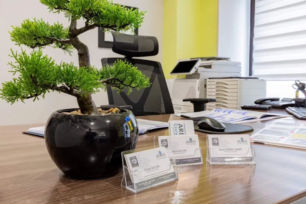 Bureau d'accueil d'une agence de pompes funèbres avec cartes de visite et bonsaï.