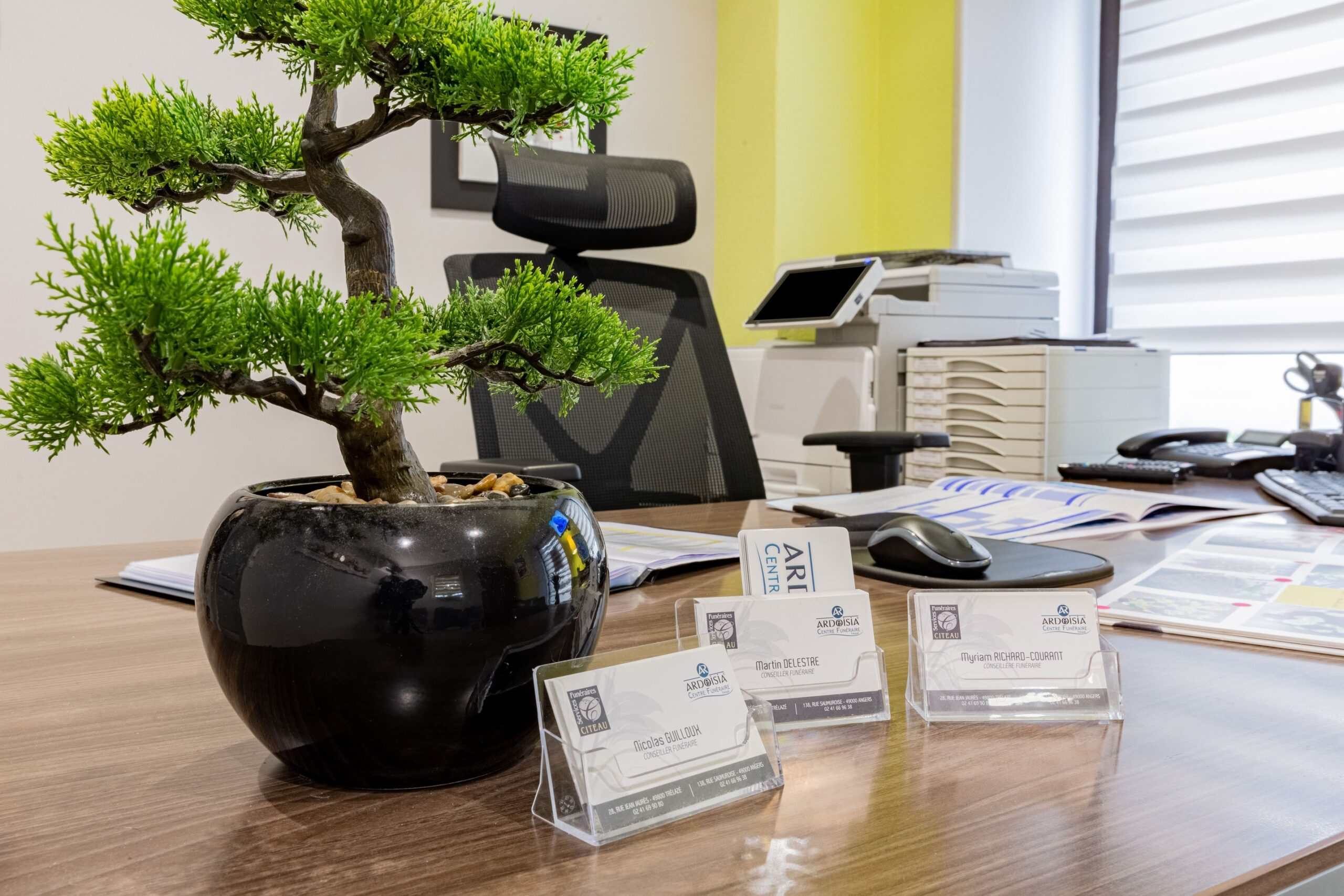 bureau avec un bonsai sur table
